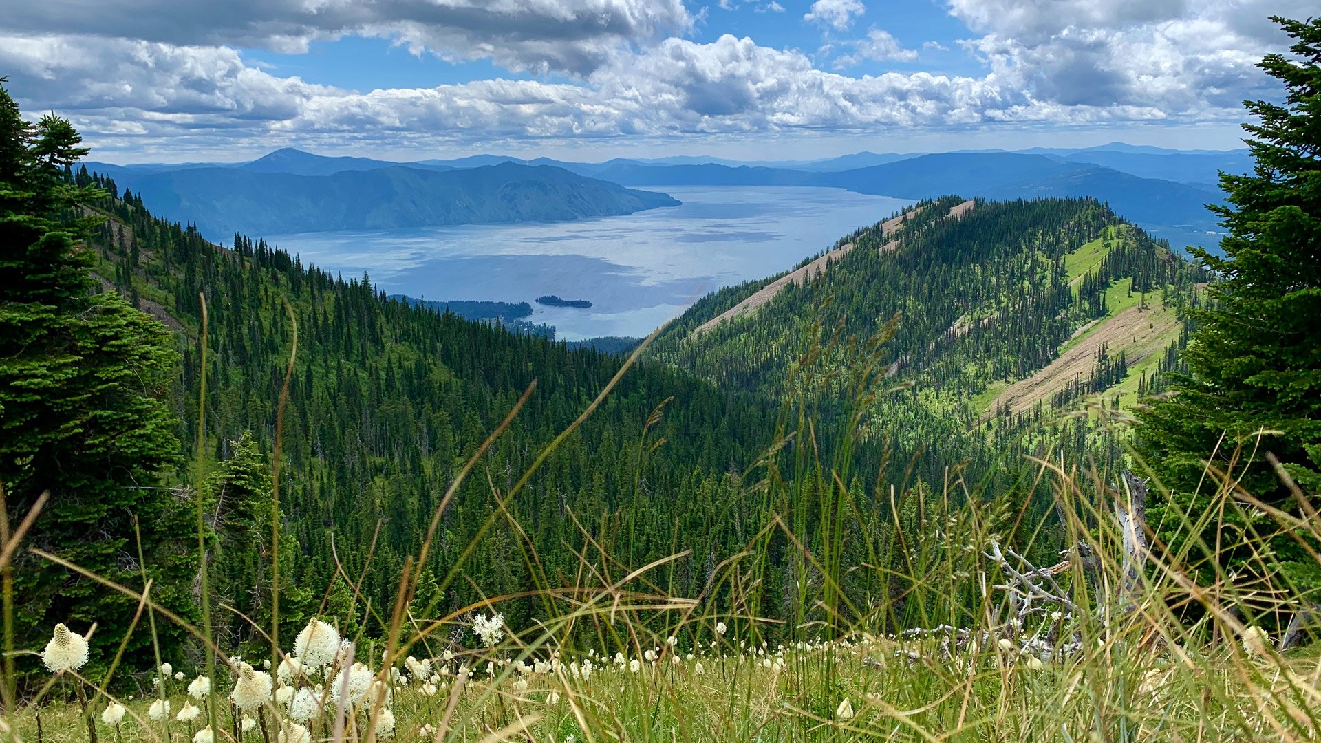 LPO-from-Trail-120_1920