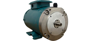 865T_NEMA_motor_306x135