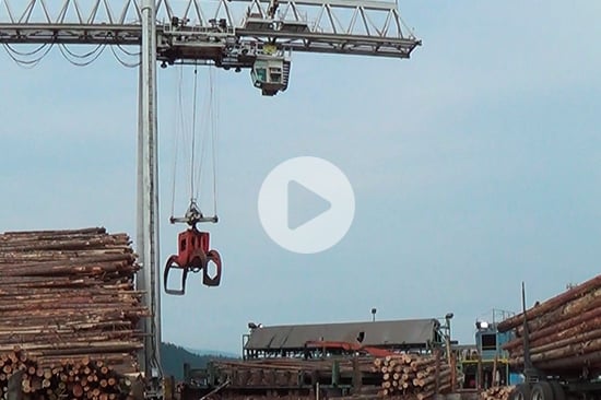 video_vaagen-brother-lumber-mill_550x366